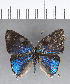  ( - CFC19211)  @11 [ ] Copyright (2018) Christer Fahraeus Center For Collection-Based Research