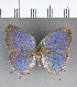  ( - CFC19216)  @11 [ ] Copyright (2018) Christer Fahraeus Center For Collection-Based Research