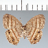  ( - CFC19232)  @11 [ ] copyright (2022) Center For Collection-Based Research Center For Collection-Based Research