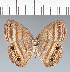  ( - CFC19233)  @11 [ ] copyright (2022) Center For Collection-Based Research Center For Collection-Based Research