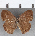  ( - CFC19244)  @11 [ ] copyright (2020) Christer Fahraeus Center For Collection-Based Research