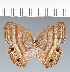  ( - CFC19245)  @11 [ ] copyright (2022) Center For Collection-Based Research Center For Collection-Based Research