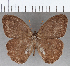  ( - CFC19301)  @11 [ ] copyright (2020) Christer Fahraeus Center For Collection-Based Research