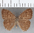  ( - CFC19358)  @11 [ ] copyright (2020) Christer Fahraeus Center For Collection-Based Research