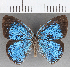  ( - CFC19368)  @11 [ ] copyright (2020) Christer Fahraeus Center For Collection-Based Research