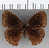  ( - CFC19549)  @11 [ ] copyright (2020) Christer Fahraeus Center For Collection-Based Research