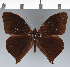 ( - CFC19622)  @11 [ ] copyright (2022) Center For Collection-Based Research Center For Collection-Based Research