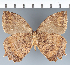  ( - CFC19793)  @11 [ ] copyright (2022) Center For Collection-Based Research Center For Collection-Based Research