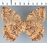  ( - CFC19794)  @11 [ ] copyright (2022) Center For Collection-Based Research Center For Collection-Based Research