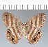  ( - CFC01989)  @11 [ ] copyright (2022) Center For Collection-Based Research Center For Collection-Based Research