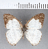  ( - CFC01990)  @13 [ ] Copyright (2018) Christer Fahraeus Center For Collection-Based Research