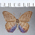  ( - CFC02011)  @11 [ ] Copyright (2018) Christer Fahraeus Center For Collection-Based Research