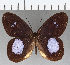  ( - CFC20156)  @11 [ ] Copyright (2019) Christer Fahraeus Center For Collection-Based Research