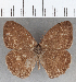  ( - CFC20225)  @11 [ ] copyright (2020) Christer Fahraeus Center For Collection-Based Research