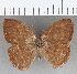  ( - CFC20233)  @11 [ ] copyright (2020) Christer Fahraeus Center For Collection-Based Research