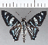  ( - CFC20547)  @13 [ ] Copyright (2019) Christer Fahraeus Center For Collection-Based Research