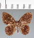  ( - CFC20678)  @11 [ ] copyright (2022) Center For Collection-Based Research Center For Collection-Based Research