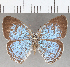  ( - CFC20843)  @11 [ ] copyright (2020) Christer Fahraeus Center For Collection-Based Research