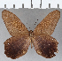  ( - CFC20890)  @11 [ ] Copyright (2019) Christer Fahraeus Center For Collection-Based Research
