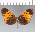 ( - CFC20981)  @11 [ ] copyright (2022) Center For Collection-Based Research Center For Collection-Based Research