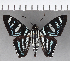  ( - CFC21426)  @13 [ ] Copyright (2018) Christer Fahraeus Center For Collection-Based Research