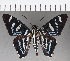  ( - CFC21436)  @13 [ ] Copyright (2018) Christer Fahraeus Center For Collection-Based Research
