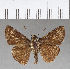  ( - CFC02160)  @11 [ ] Copyright (2018) Christer Fahraeus Center For Collection-Based Research
