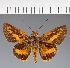  ( - CFC21623)  @11 [ ] copyright (2023) Center For Collection-Based Research Center For Collection-Based Research