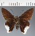  ( - CFC21672)  @11 [ ] copyright (2023) Center For Collection-Based Research Center For Collection-Based Research