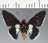  ( - CFC21688)  @11 [ ] copyright (2023) Center For Collection-Based Research Center For Collection-Based Research