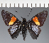  ( - CFC21711)  @11 [ ] copyright (2023) Center For Collection-Based Research Center For Collection-Based Research