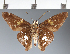  ( - CFC21725)  @11 [ ] copyright (2023) Center For Collection-Based Research Center For Collection-Based Research