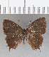  ( - CFC21734)  @11 [ ] Copyright (2020) Christer Fahraeus Center For Collection-Based Research