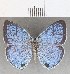  ( - CFC21746)  @11 [ ] copyright (2020) Christer Fahraeus Center For Collection-Based Research