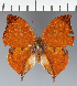  ( - CFC21807)  @11 [ ] copyright (2023) Center For Collection-Based Research Center For Collection-Based Research