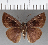 ( - CFC02186)  @11 [ ] Copyright (2019) Christer Fahraeus Center For Collection-Based Research