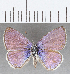  ( - CFC22032)  @11 [ ] Copyright (2020) Christer Fahraeus Center For Collection-Based Research