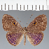  ( - CFC22164)  @11 [ ] copyright (2022) Center For Collection-Based Research Center For Collection-Based Research