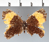  ( - CFC22213)  @11 [ ] copyright (2022) Center For Collection-Based Research Center For Collection-Based Research