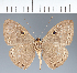  ( - CFC22323)  @11 [ ] copyright (2022) Center For Collection-Based Research Center For Collection-Based Research