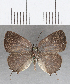  ( - CFC22345)  @11 [ ] Copyright (2019) Christer Fahraeus Center For Collection-Based Research