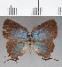  ( - CFC22396)  @11 [ ] Copyright (2019) Christer Fahraeus Center For Collection-Based Research