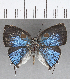  ( - CFC22434)  @11 [ ] Copyright (2019) Christer Fahraeus Center For Collection-Based Research