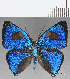  ( - CFC22934)  @11 [ ] Copyright (2019) Christer Fahraeus Center For Collection-Based Research