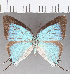  ( - CFC22979)  @11 [ ] Copyright (2019) Christer Fahraeus Center For Collection-Based Research