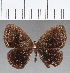  ( - CFC02299)  @11 [ ] Copyright (2019) Christer Fahraeus Center For Collection-Based Research