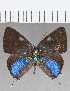  ( - CFC23016)  @11 [ ] Copyright (2020) Christer Fahraeus Center For Collection-Based Research