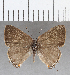  ( - CFC23091)  @13 [ ] Copyright (2020) Christer Fahraeus Center For Collection-Based Research