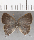  ( - CFC23108)  @11 [ ] Copyright (2020) Christer Fahraeus Center For Collection-Based Research