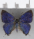  ( - CFC23173)  @11 [ ] Copyright (2019) Christer Fahraeus Center For Collection-Based Research